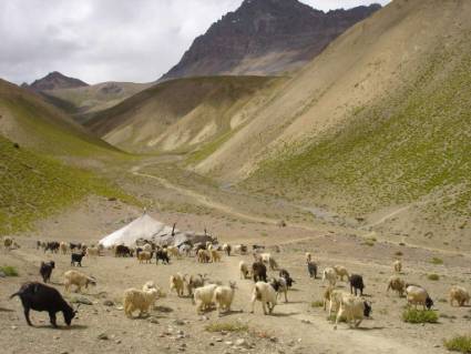 ORIGINÁL-NÁUŠNICE ELEGANTNÍ