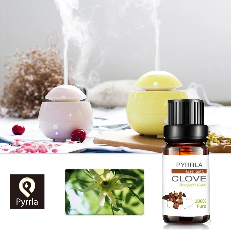 OLEJ HŘEBÍČEK ČISTÝ ETERICKÝ OLEJ