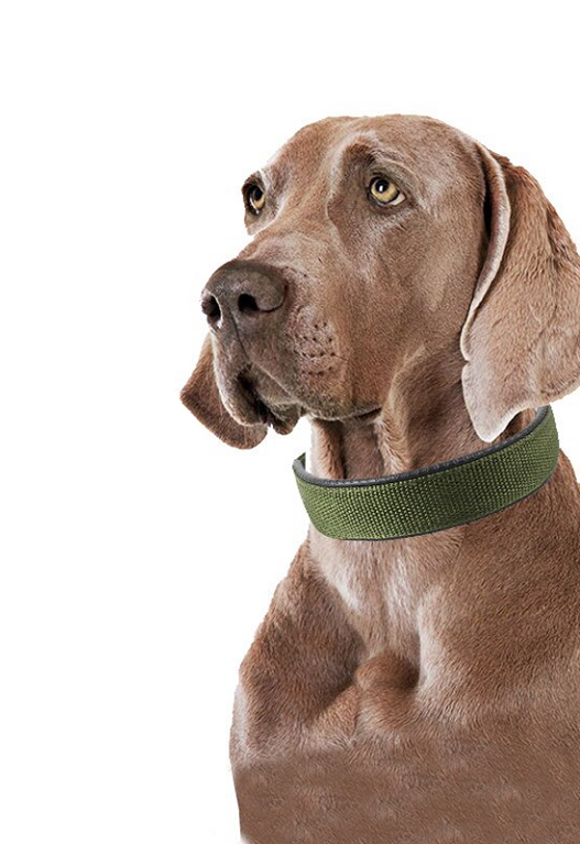 NASTAVITELNÝ NYLONOVÝ OBOJEK PRO PSY