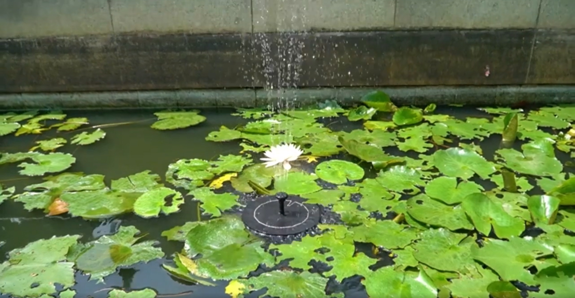 Solární automatická FONTÁNA – PITÍTKO