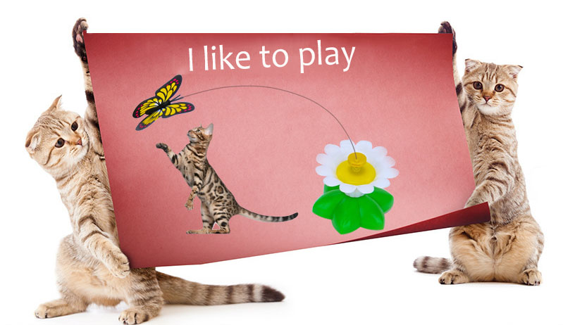 ÚŽASNÁ HRAČKA PRO KOČKY-MOTÝL