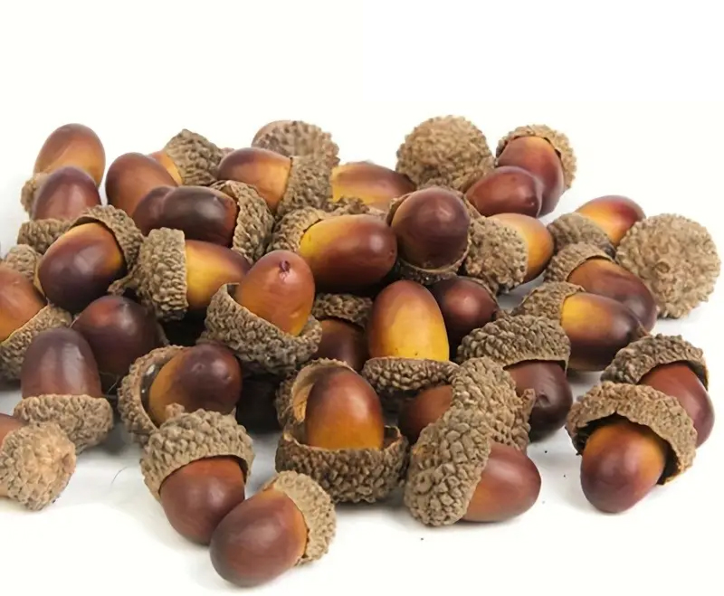 Krásná dekorace Umělé ŽALUDY 30 kusů