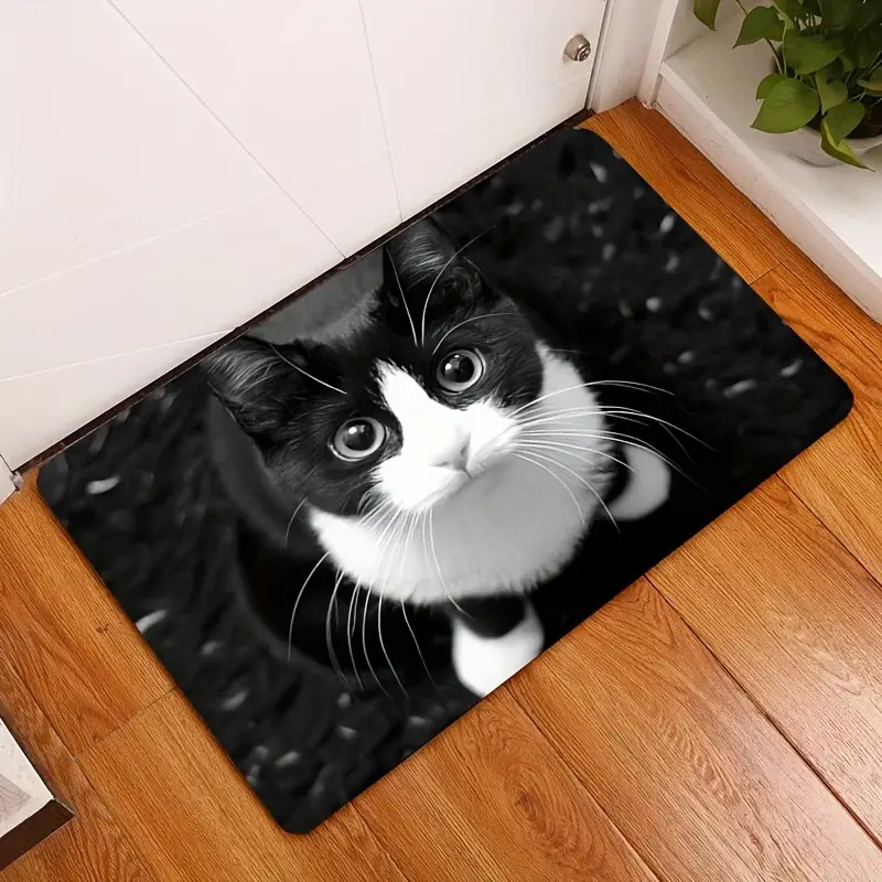 Okouzlující kočičí vstupní ROHOŽKA KOČKA