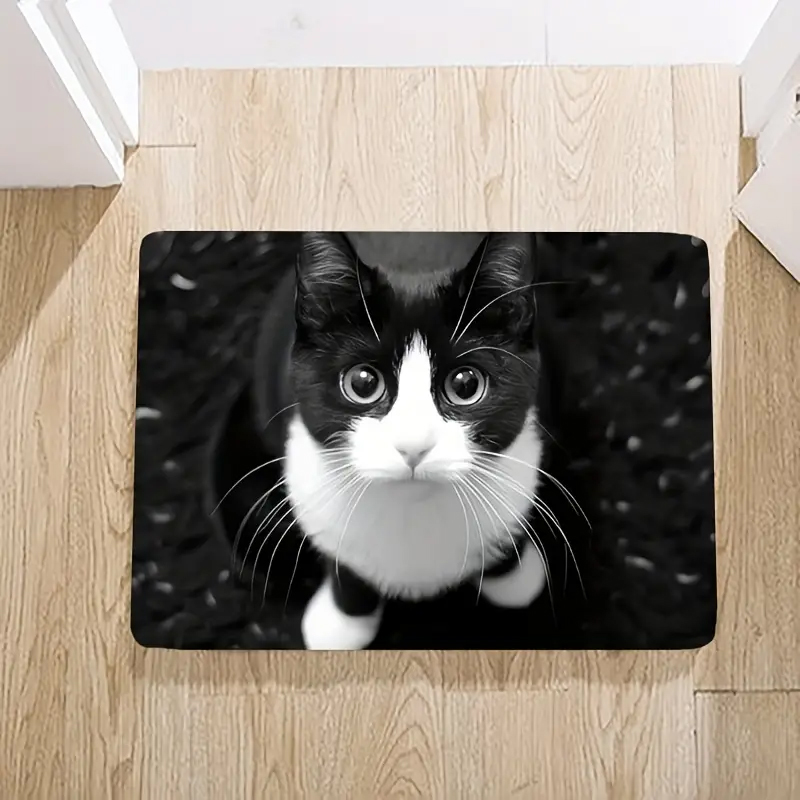 Okouzlující kočičí vstupní ROHOŽKA KOČKA