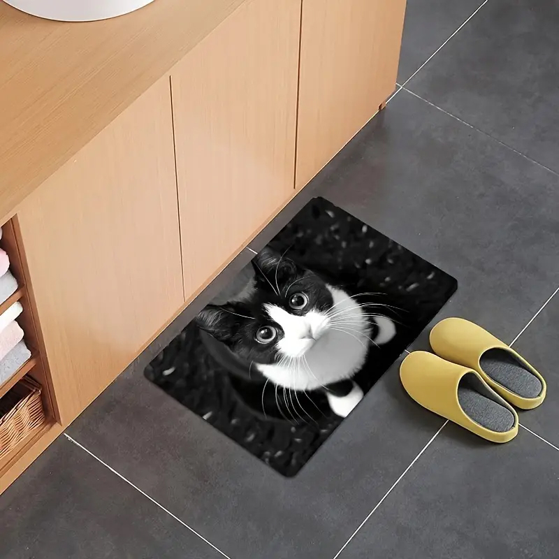 Okouzlující kočičí vstupní ROHOŽKA KOČKA