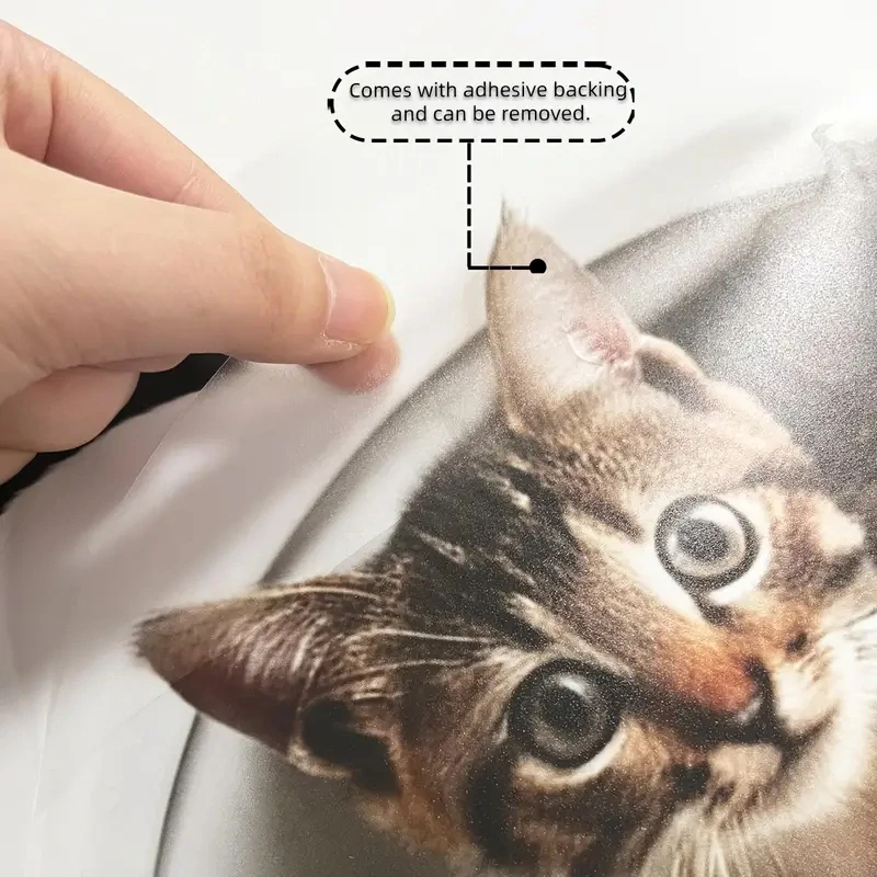 Originální roztomilá SAMOLEPKA KOTĚ