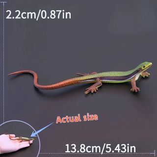 Realistický model simulace JEŠTĚRKA TRAVNÍ