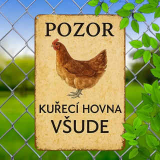 Okrasná CEDULE Jarní letní cedule SOVA